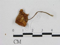 登錄號:F0012047藏品圖，第3張