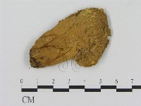 登錄號:F0012048藏品圖，第1張