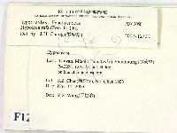 登錄號:F0012050藏品圖，第2張