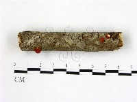 登錄號:F0012050藏品圖，第1張