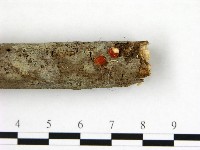 登錄號:F0012050藏品圖，第3張