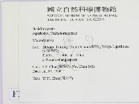 小皮傘屬藏品圖，第2張