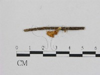 登錄號:F0012056藏品圖，第1張