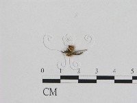 登錄號:F0012057藏品圖，第3張