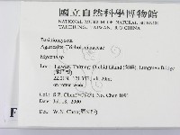 小菇屬藏品圖，第2張