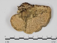 登錄號:F0012063藏品圖，第1張