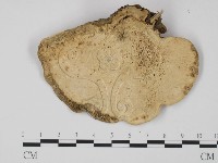 登錄號:F0012063藏品圖，第3張