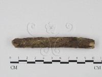 登錄號:F0012064藏品圖，第1張