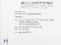 木層孔菌屬藏品圖，第2張