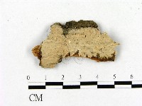 登錄號:F0012066藏品圖，第1張
