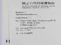 絲皮菌屬藏品圖，第2張