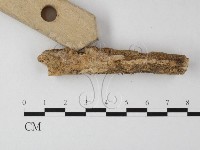 登錄號:F0012073藏品圖，第3張