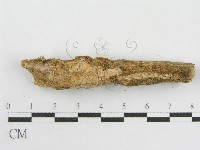 登錄號:F0012073藏品圖，第5張