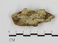 登錄號:F0012076藏品圖，第1張