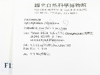 登錄號:F0012080藏品圖，第2張