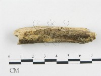 登錄號:F0012080藏品圖，第1張
