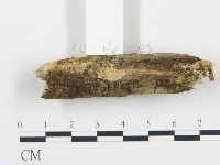 登錄號:F0012080藏品圖，第3張