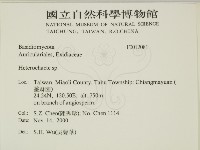 刺皮菌屬藏品圖，第2張