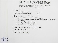 登錄號:F0012083藏品圖，第2張