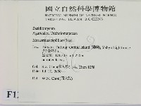登錄號:F0012084藏品圖，第2張