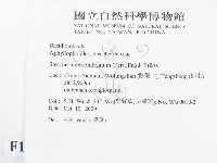 登錄號:F0012085藏品圖，第2張
