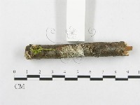 登錄號:F0012085藏品圖，第5張