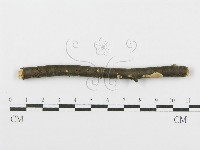 登錄號:F0012086藏品圖，第1張
