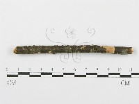 登錄號:F0012086藏品圖，第3張