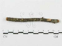 登錄號:F0012086藏品圖，第4張
