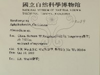 盤革菌屬藏品圖，第2張