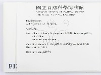 阿太菌屬藏品圖，第2張