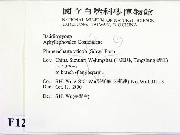 登錄號:F0012094藏品圖，第2張