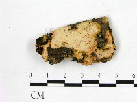 登錄號:F0012094藏品圖，第1張