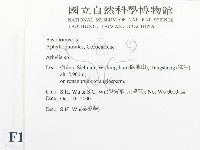 阿太菌屬藏品圖，第2張