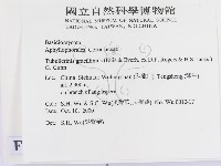 登錄號:F0012096藏品圖，第2張