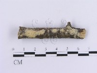 登錄號:F0012096藏品圖，第1張