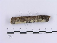 登錄號:F0012096藏品圖，第3張
