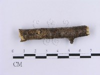 登錄號:F0012096藏品圖，第4張