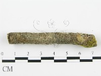 登錄號:F0012097藏品圖，第4張