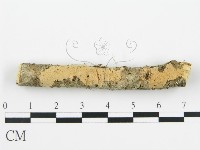 登錄號:F0012097藏品圖，第6張