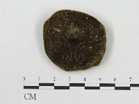 多孔菌屬藏品圖，第3張