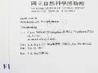 筍殼菌屬藏品圖，第2張