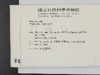 登錄號:F0012102藏品圖，第2張