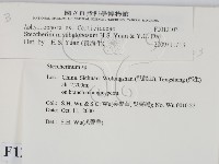 登錄號:F0012103藏品圖，第2張