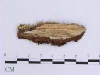 登錄號:F0012103藏品圖，第3張