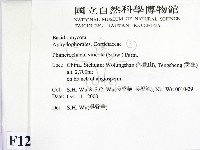登錄號:F0012105藏品圖，第2張