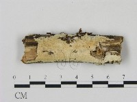 登錄號:F0012106藏品圖，第1張