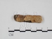 登錄號:F0012107藏品圖，第1張