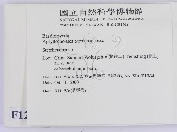 齒耳菌屬藏品圖，第2張