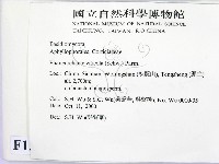 登錄號:F0012111藏品圖，第2張